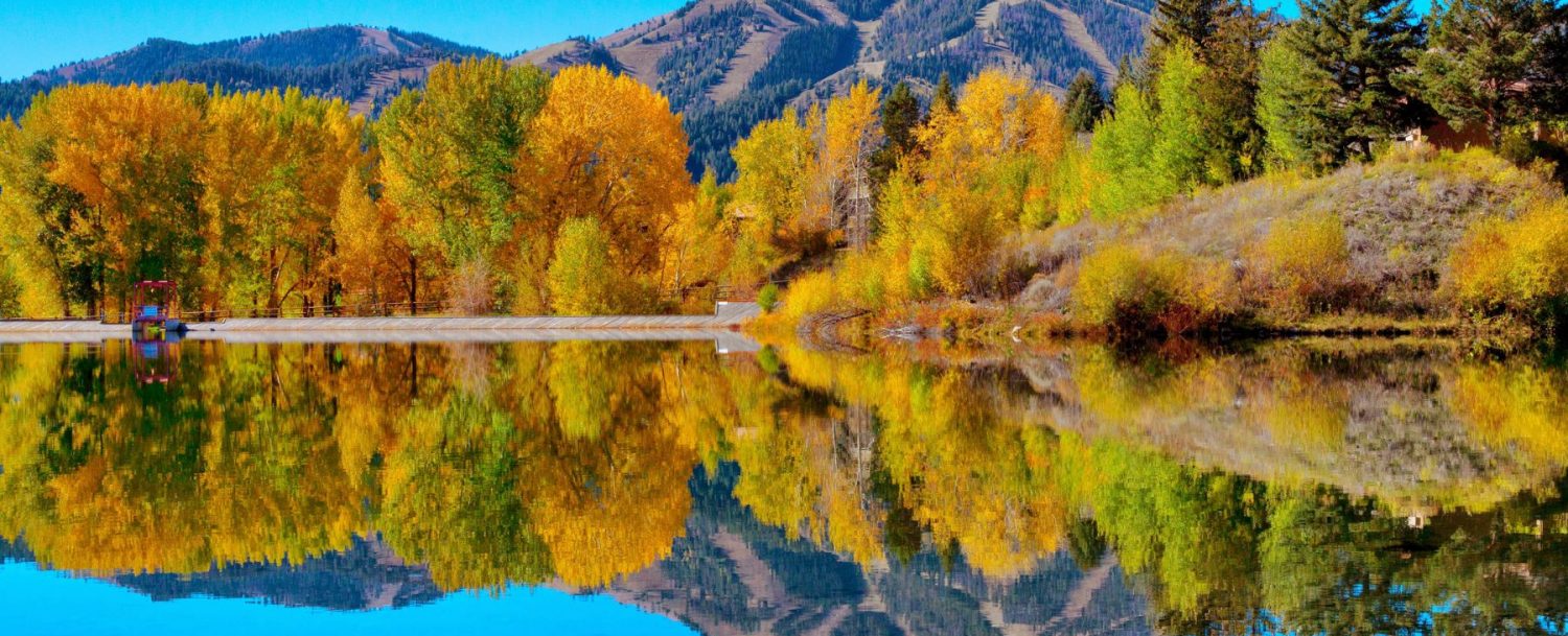 fall foliage in Idaho